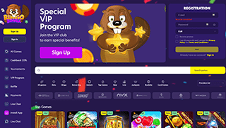 bingobonga casino screenshot