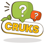 Wat is de cruks